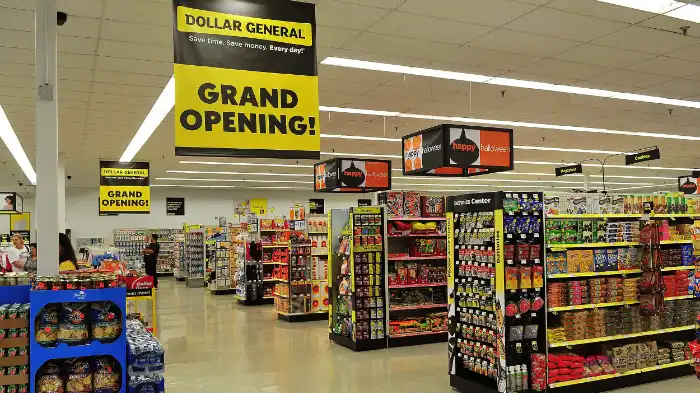 What category of store is Dollar General?-featured image