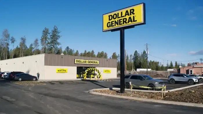 What company bought out Dollar General-featured image